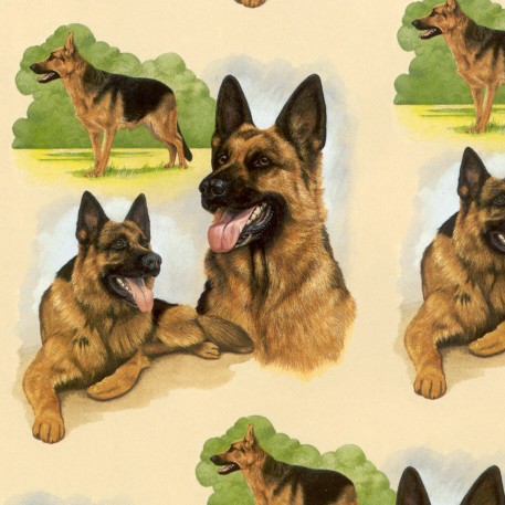 Doggy 4